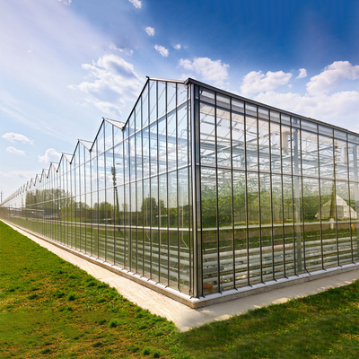 側面および上の換気装置Multispanガラスはフェンローのタイプ温室をカバーした