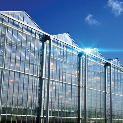 スパンの温室のフェンローの商業多タイプ ガラスは農業をカバーした