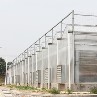 気候のコントローラーのポリカーボネートの野菜生産のための多スパンの温室