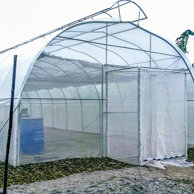 実生植物の野菜のための農業のポリエチレン フィルムのトンネルの温室