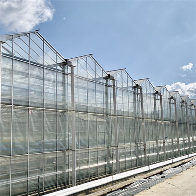 複数のスパンの温室のDubleの厚板ガラスは温室の構造ガラスのオランダの温室の垂直に電流を通した