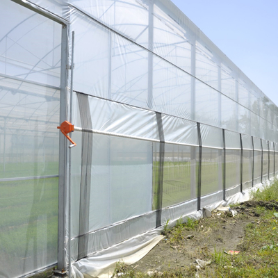 大型の複数のスパンのアーチのプラスチック フィルムの温室の熱いすくいは鋼鉄プラスチック農業の温室に電流を通した