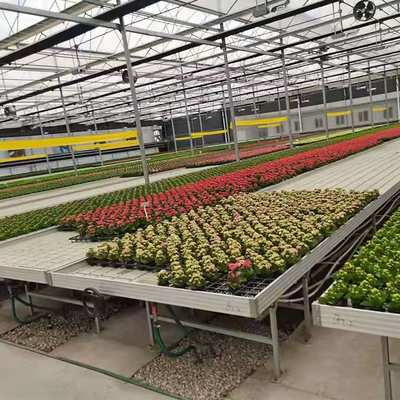 銀製の注文の温室は移動可能な実生植物のベッドの圧延の育成をメンバーからはずす