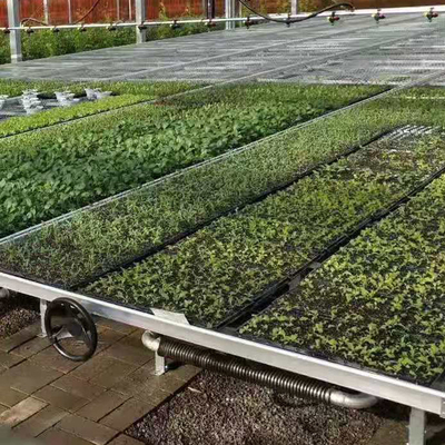 銀製の注文の温室は移動可能な実生植物のベッドの圧延の育成をメンバーからはずす