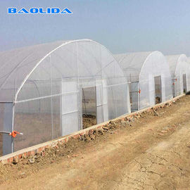 単一のスパンの野菜トンネルのプラスチック フィルムの温室を植えている高いトンネルの野菜
