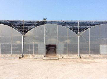 トマトの野菜に植わることのための大型の鉄骨フレームの多スパンの温室