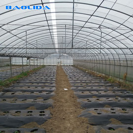 トマトの野菜に植わることのための大型の鉄骨フレームの多スパンの温室