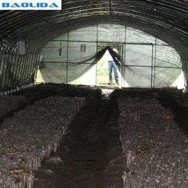 野菜栽培のプラスチック トンネルの温室の紫外証拠