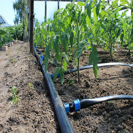 農場の温室の用水系統/スプレーヤーのPolytunnelの給水系統