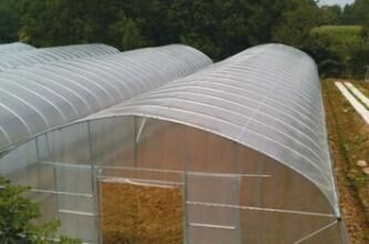 テントの容易取付けられている小さい/野菜屋内屋外の温室のテントは育てる