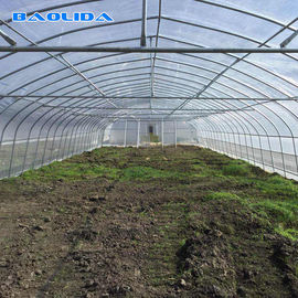 トマトの成長のための農業の高いたがのテントの温室の鉄骨フレーム