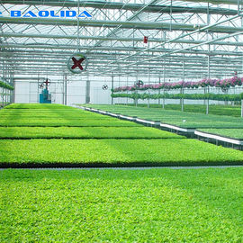 野菜栽培のトンネルの多スパンの温室のプラスチック フィルム材料