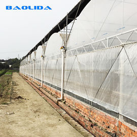 電流を通される熱い農業のPolytunnelの温室の風の抵抗力がある複数のスパンの温室を構成する