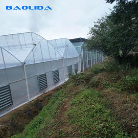 組立て式に作られる熱帯気候のための補強されたプラスチックシートの温室