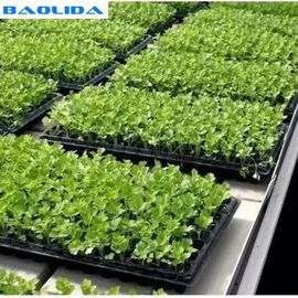 実生植物の養樹園のための農業装置の温室のベンチ システム