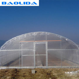 金属の温室フレームが付いている注文のよい安定性のトンネルのプラスチック温室
