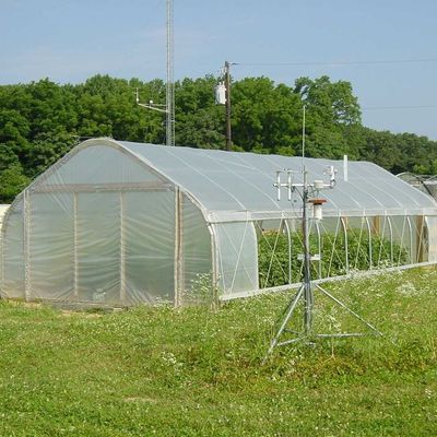 電流を通された単一のスパンのプラスチック トンネルの温室は野菜栽培をカスタマイズした