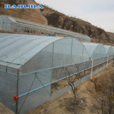 電流を通された単一のスパンのプラスチック トンネルの温室は野菜栽培をカスタマイズした