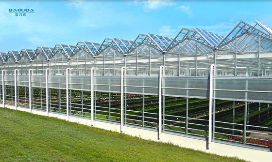 金属フレームのPolytunnelガラスのフェンローのタイプ温室は60x90mを安定させた