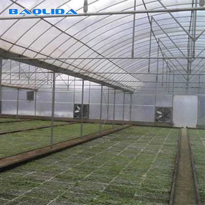 庭の野菜安定した性能のための商業多スパンの温室