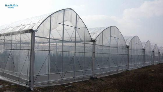 熱いすくいは4季節の植わることのためのMultispanの鋼鉄プラスチック温室に電流を通した