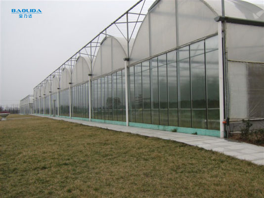 熱いすくいは4季節の植わることのためのMultispanの鋼鉄プラスチック温室に電流を通した