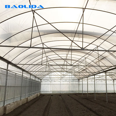 野菜のための電流を通された鋼管の農業のプラスチック フィルムの多スパンのトンネルの温室