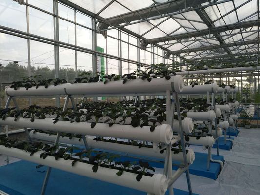 農業の温室のためのタイプ タワーの水耕栽培システム