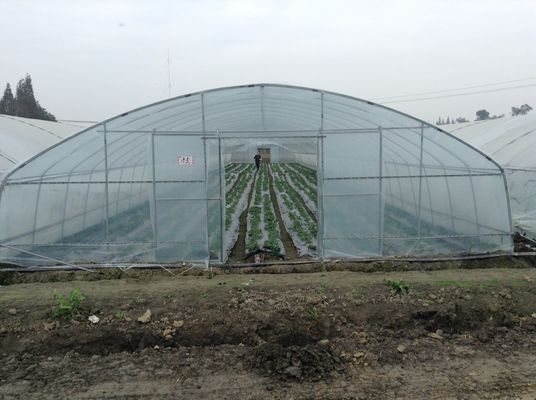 単一のスパンの野菜の耕作のためのプラスチック トンネルの温室のポリエチレン フィルムの温室