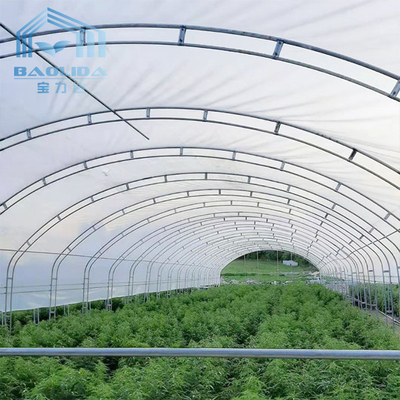 二重アーチの側面の換気の農業のいちごの成長のための単一のスパンの温室