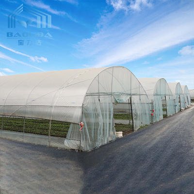 冷却装置が付いている屋根の換気のトンネルのプラスチック温室
