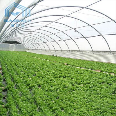 農業のための多トンネルのプラスチック温室を育てるAquaponis