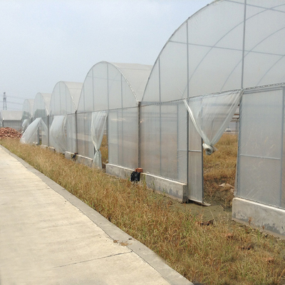 高いトンネルの花成長のための農業の耕作の多スパンの温室
