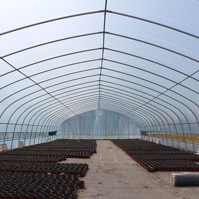 野菜成長をカバーする古典的な標準的な温室のトンネルのプラスチック シート