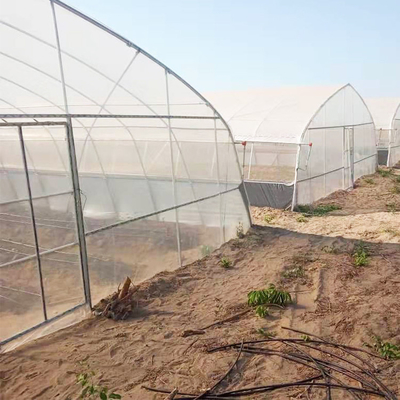 野菜成長をカバーする古典的な標準的な温室のトンネルのプラスチック シート