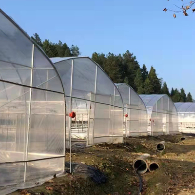 200マイクロのPEのフィルムのトンネルの農業の植物の成長のためのプラスチック単一のスパンの温室