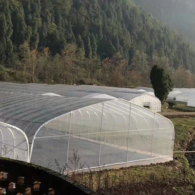 200マイクロのPEのフィルムのトンネルの農業の植物の成長のためのプラスチック単一のスパンの温室