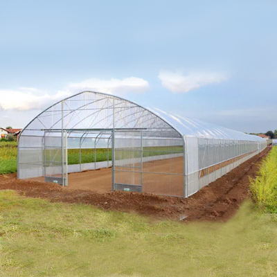 30mの長さのトマトの耕作のための単一のスパンのプラスチックシートのフィルムの温室