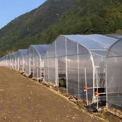 30mの長さのトマトの耕作のための単一のスパンのプラスチックシートのフィルムの温室