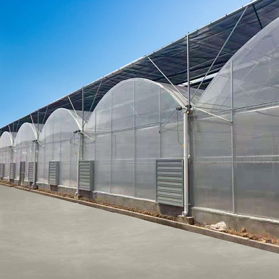 透明なガラス トンネルのMultispanの温室植物の耕作