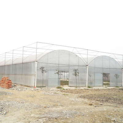ゴシック様式様式のMultispanのトマトの成長のための高いトンネルのプラスチック フィルムの多スパンの温室