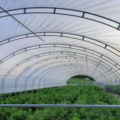 二重アーチはフィルム農業の成長の10X50mの単一のスパンの温室を倍増する