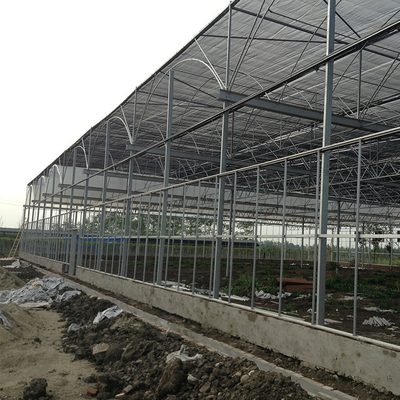 中の影で覆うシステムが付いているドームの屋根構造の強いプラスチック温室