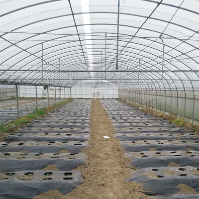 野菜農業動物のための多スパン フレームのプラスチック フィルムの温室