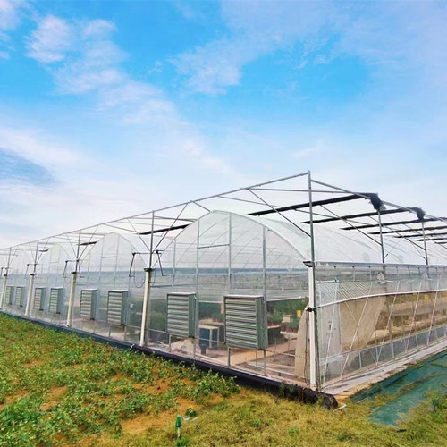 最新の会社の事例について タイの複数のスパンの温室のプロジェクト