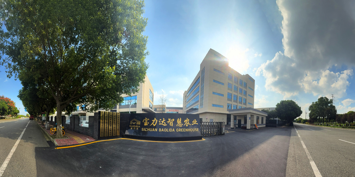 中国 Sichuan Baolida Metal Pipe Fittings Manufacturing Co., Ltd. 会社概要