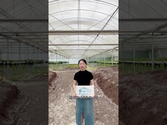 農業のレベルを上げようか?