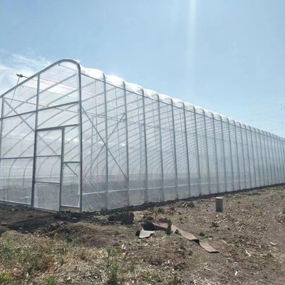 質  Plastic Film Solar Passive Greenhouse With Rainwater Collection Support 工場