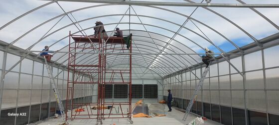 質  Automated Light Deprivation Greenhouse with 8mm Twin-Wall PC Board and Hot-Dip Galvanized Steel Frame Controlled by Smart PLC System 工場