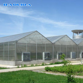 質  Commercial Polycarbonate Sheet Greenhouse / PC Sheet Greenhouse Customized Material 工場